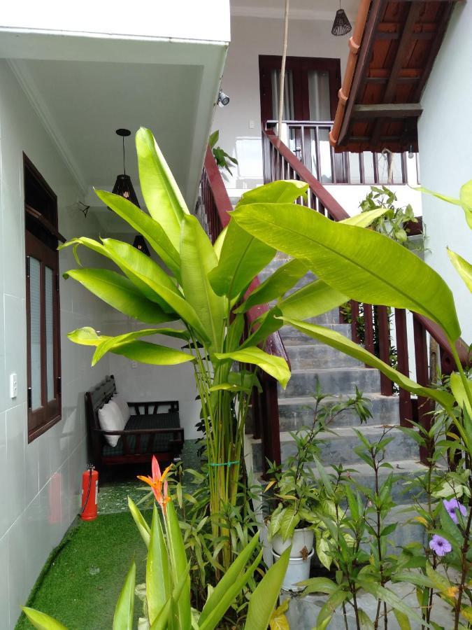 Pink Beach Homestay هوي ان المظهر الخارجي الصورة